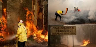 Australian Cricketer On Sydney After Bushfire Announced