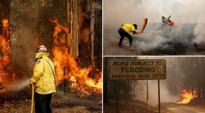 Australian Cricketer On Sydney After Bushfire Announced