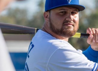 Will Blue Jays Make Tellez to Earn A Good Job? Will Blue Jays Make Tellez to Earn A Good Job?