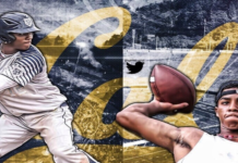 Former QB Brandon Mcllwain will lead the Cal baseball team Former QB Brandon Mcllwain will lead Cal baseball team this season