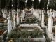 What family members can sue for wrongful death? death