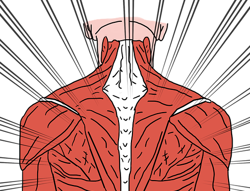 Kinesiology Tape For Lumbar Muscles