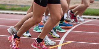 The real opportunities to become a sport agent sport agent