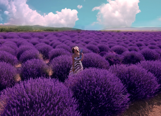 10 Lavender Dresses That Have Changed the Color Game of Fashion Lavender Dresses changed the color game