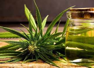 Medical Marijuana: The most effective treatment for Cachexia treatment for Cachexia