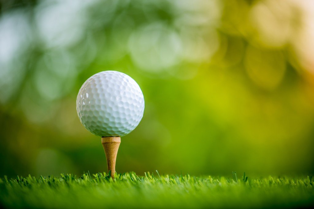 There is also a golf ball in this game that is small in size and whose colo...