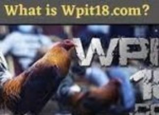 How can we use the Wpit18 login to enjoy fun games? wpit18 login