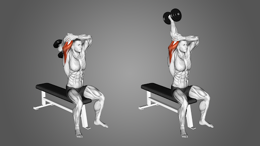 Over the head Tricep Extension 