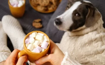 Can Dogs Eat Marshmallows: Answering Your Query can dogs eat marshmallows