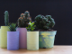 Why Plastic Pots are a Smart Choice for Home Gardens: Benefits and Advantages Plastic pots